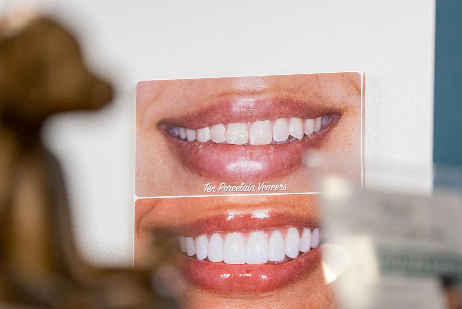 ba in office dog bokeh